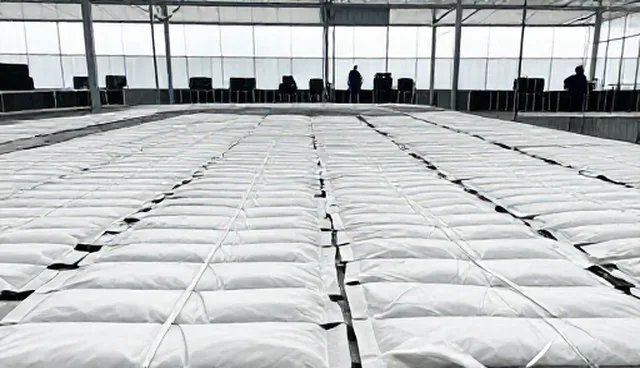 推广服务风险控制:应用场景与使用建议